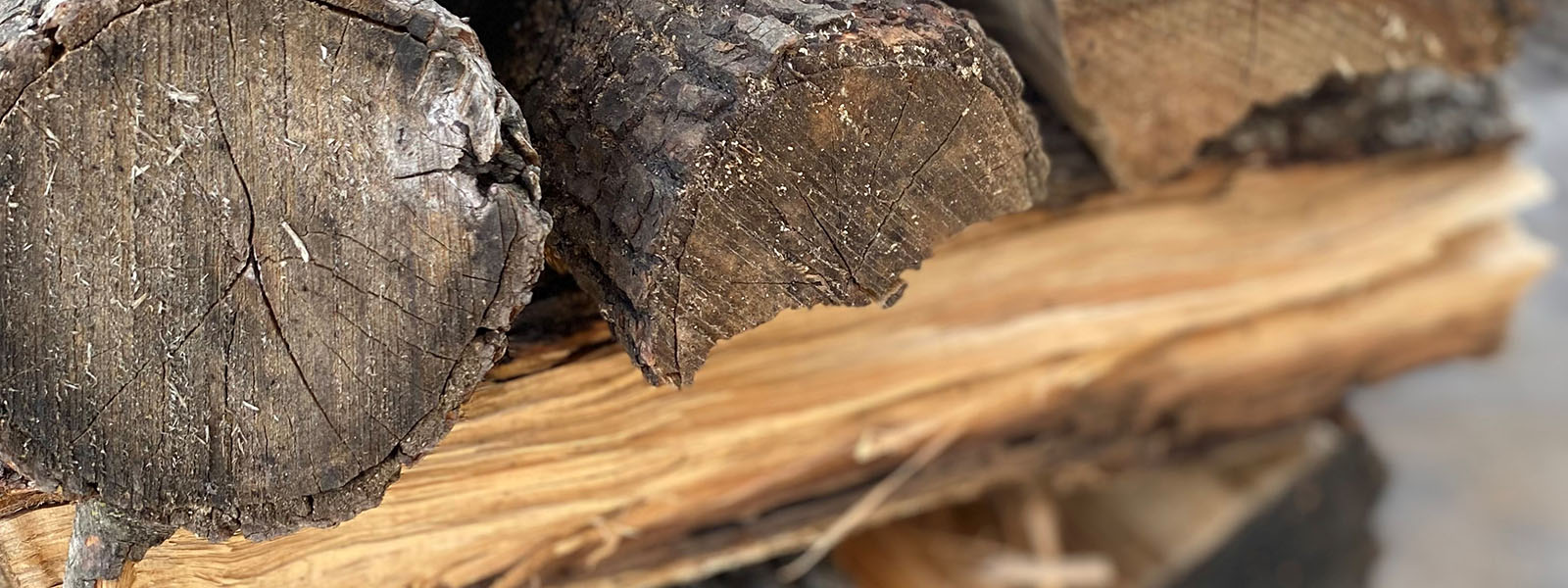 Close up of hickory wood