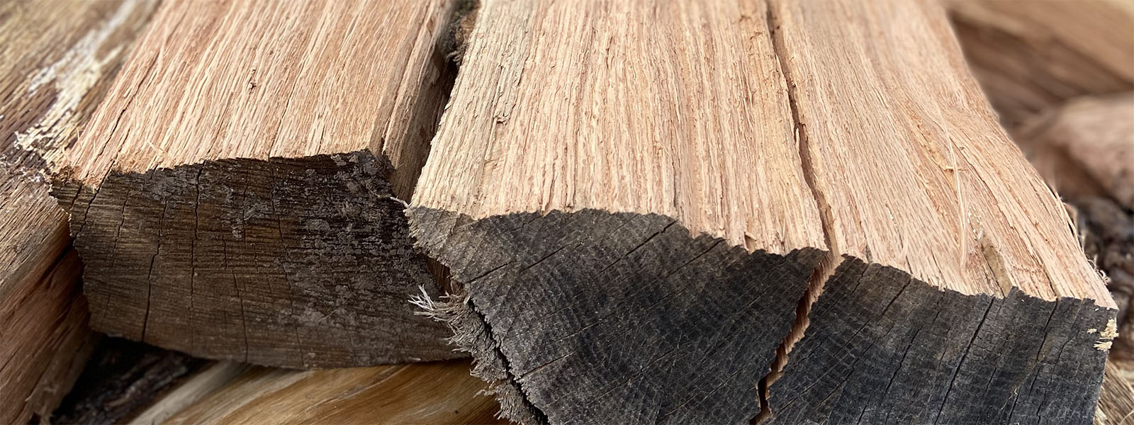 close up of apple wood