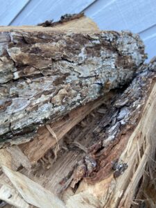 Top 5 firewood wood types in Tulsa OK Firewood King Tulsa